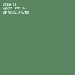 #5B8461 - Spring Leaves Color Image